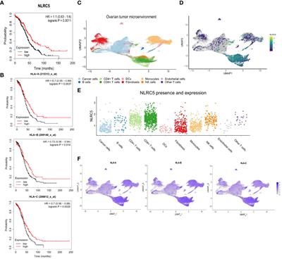 NLRC5 overexpression in ovarian tumors remodels the tumor microenvironment and increases T-cell reactivity toward autologous tumor-associated antigens